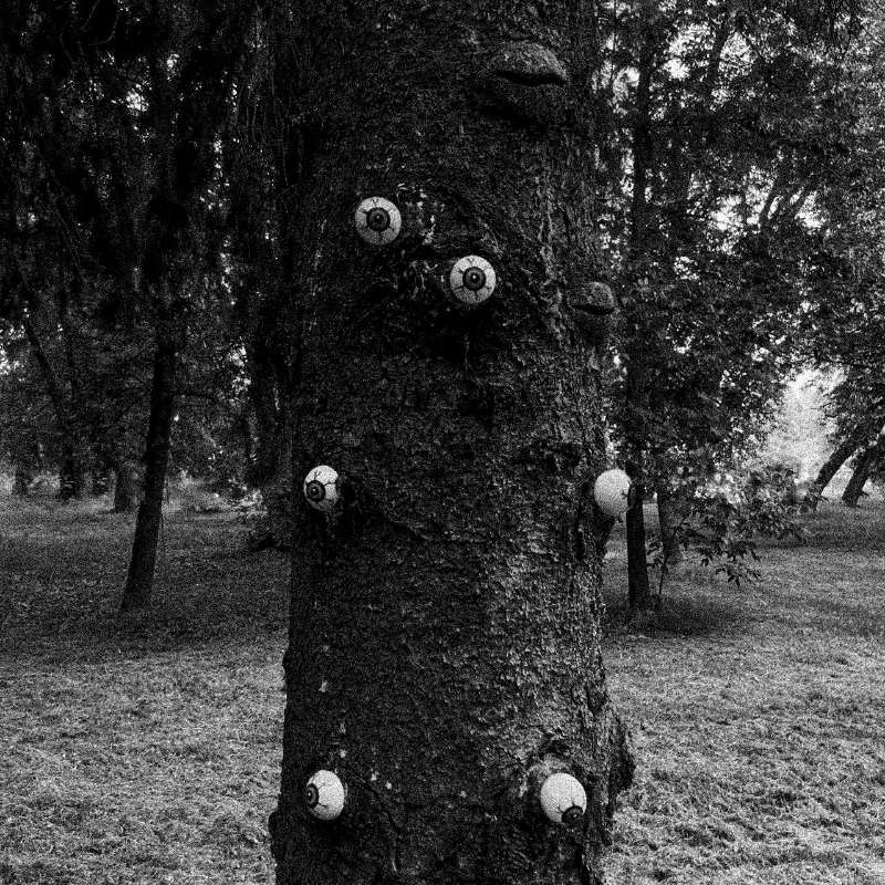 Описание GIF